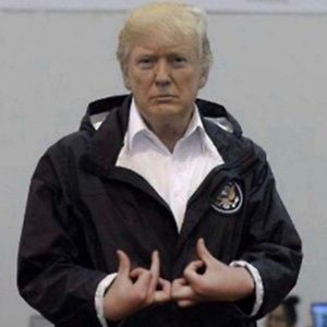 Meet your Posher, Jayden